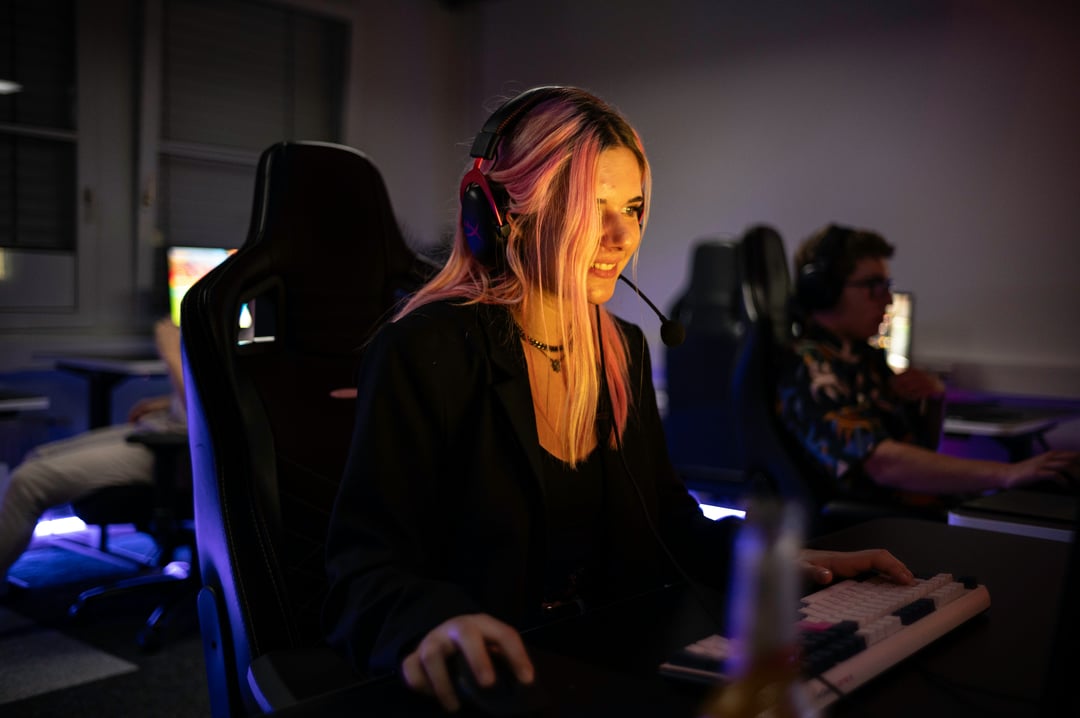 Bryter - Segmenting the PC Gamer for Competitive Advantage 02