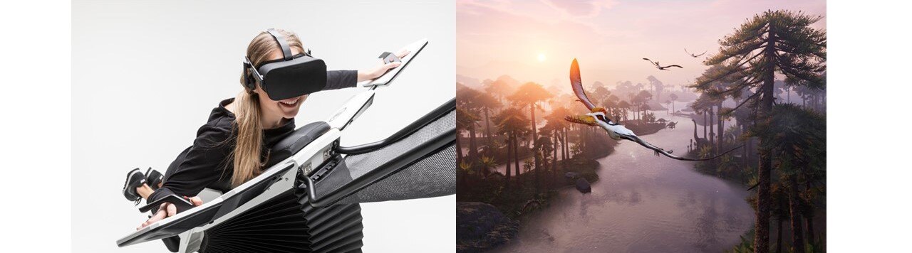 birdly vr flying simulator