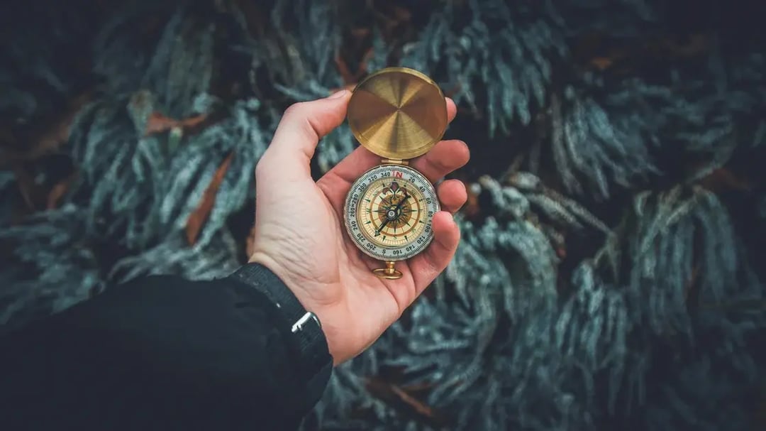 pexels-valentinantonucci-841286