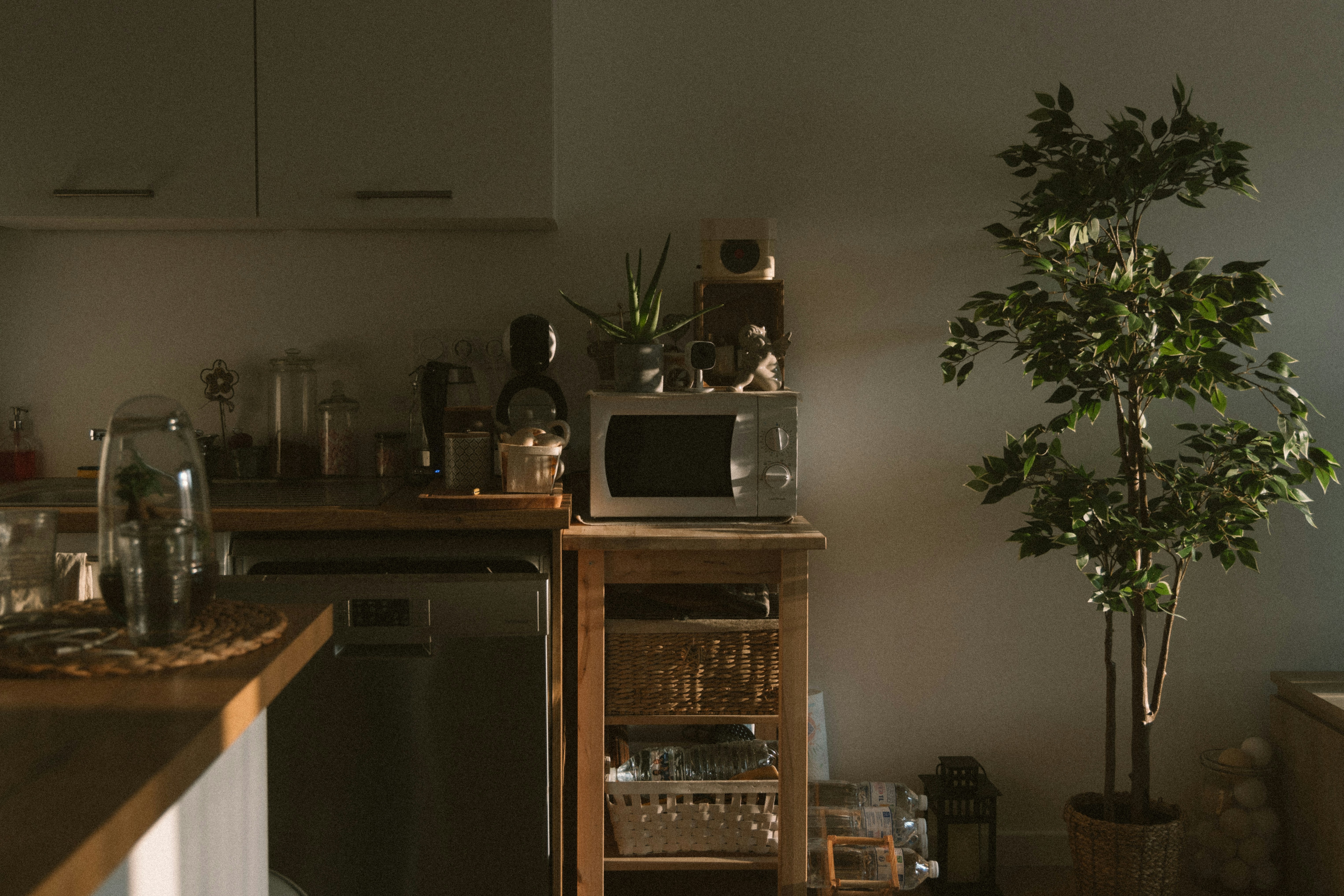 Cooking habits & domestic appliances report