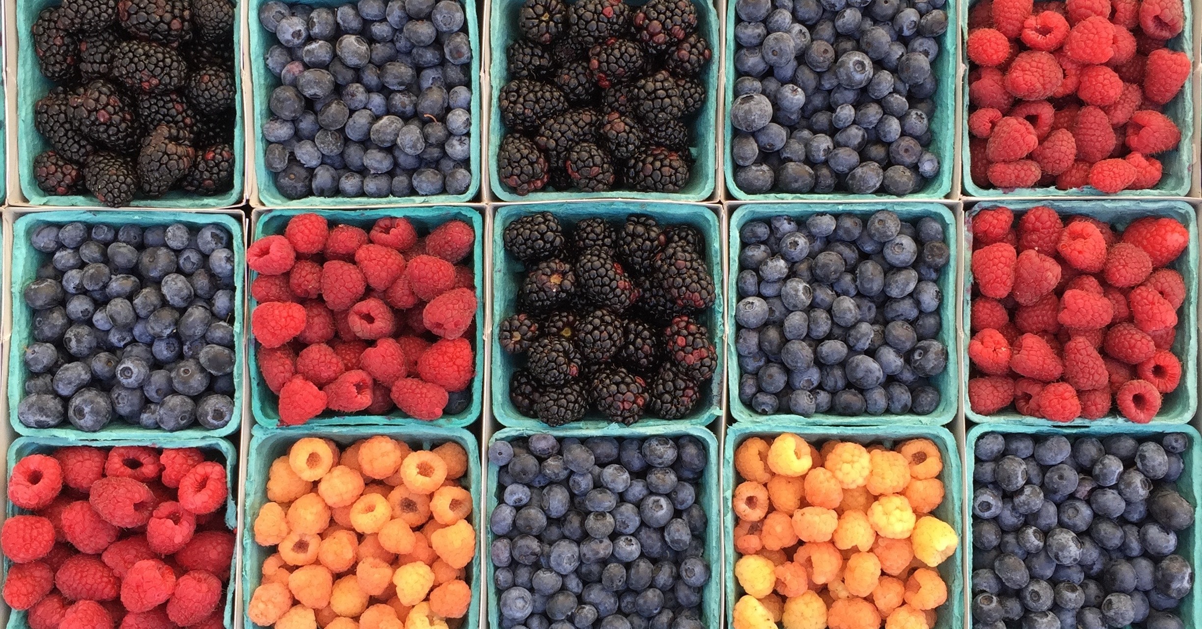 Rise of the health-conscious consumer seeking wellness advantages