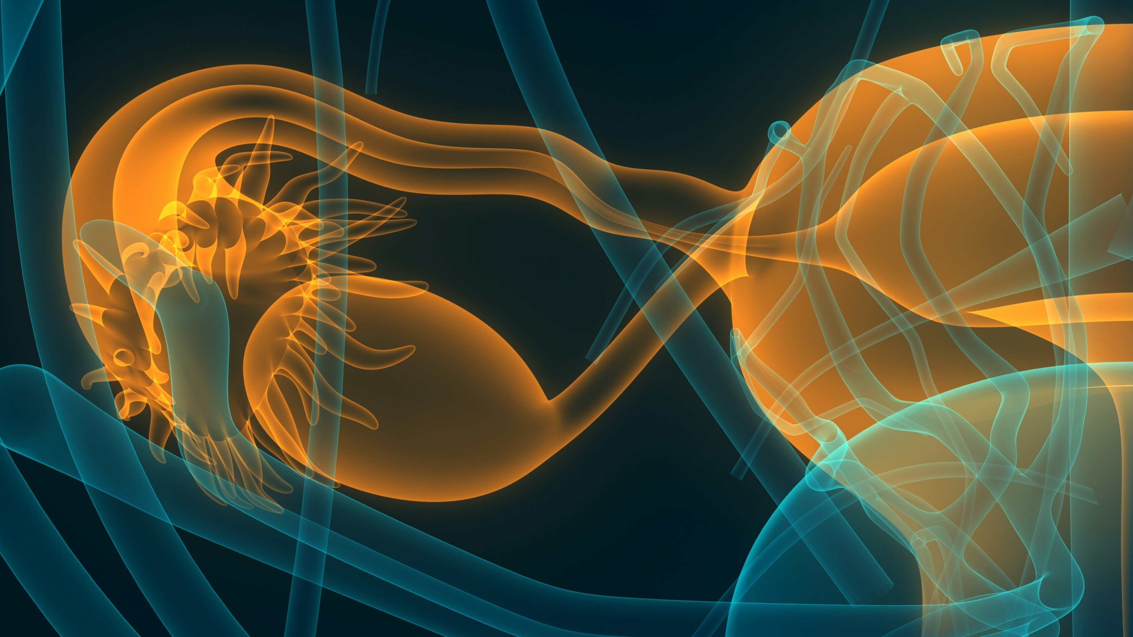 Oncology insights - Innovation in Oncology 2025