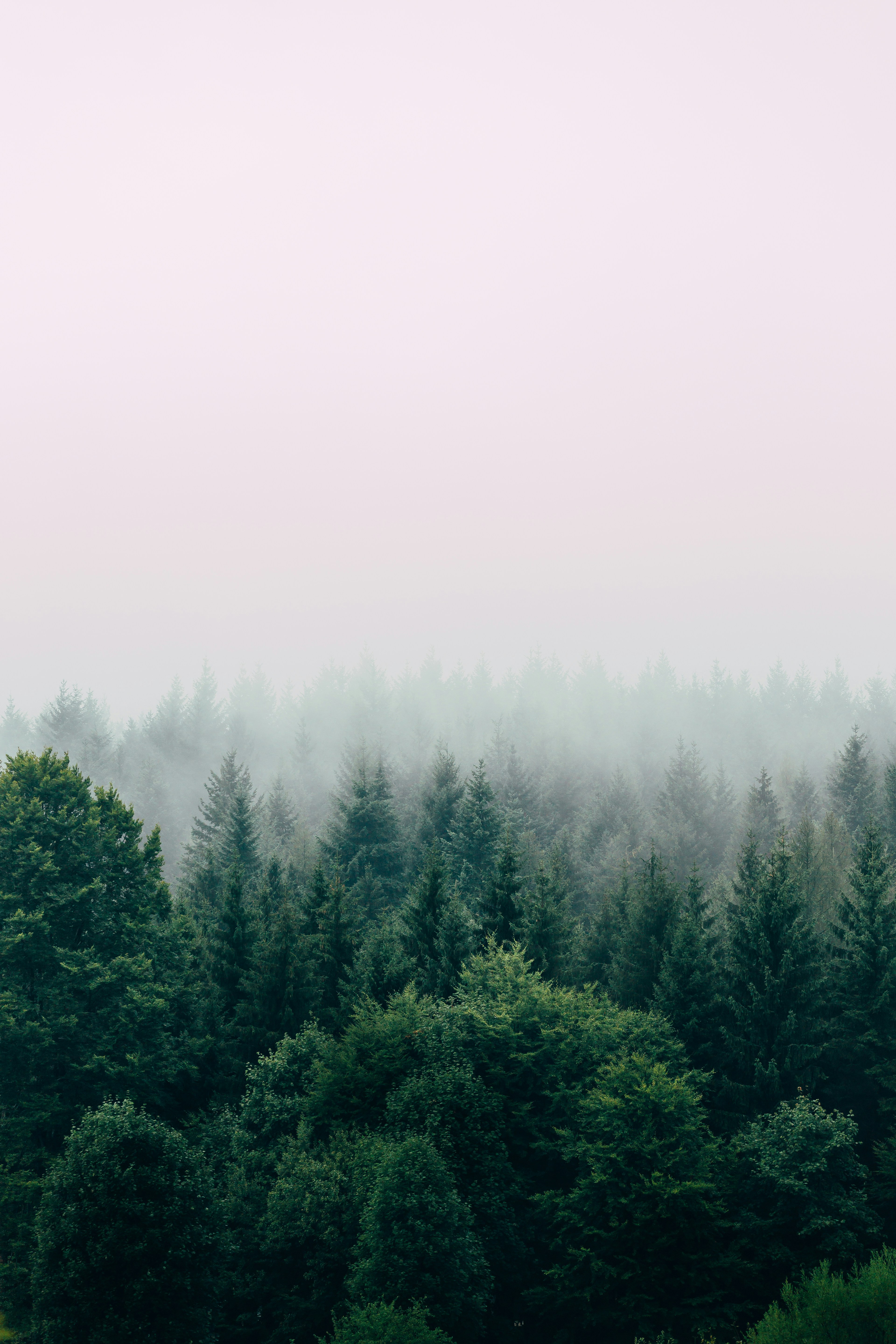 Driving European Adoption for a Scandinavian Clean Energy Brand