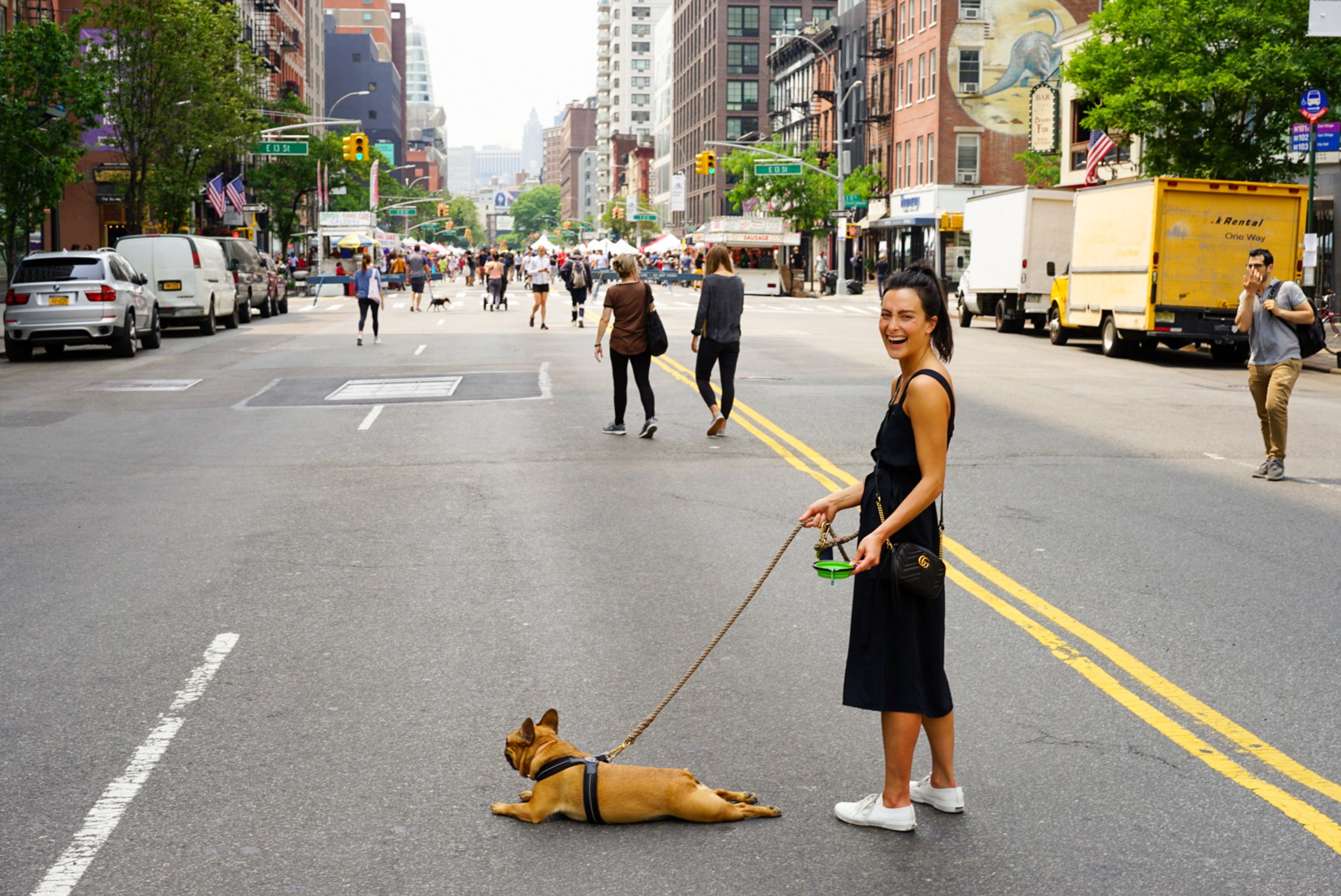 Small dogs in big cities - building cultural understanding