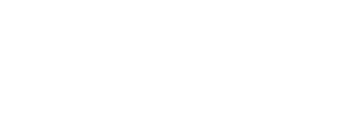 rovio