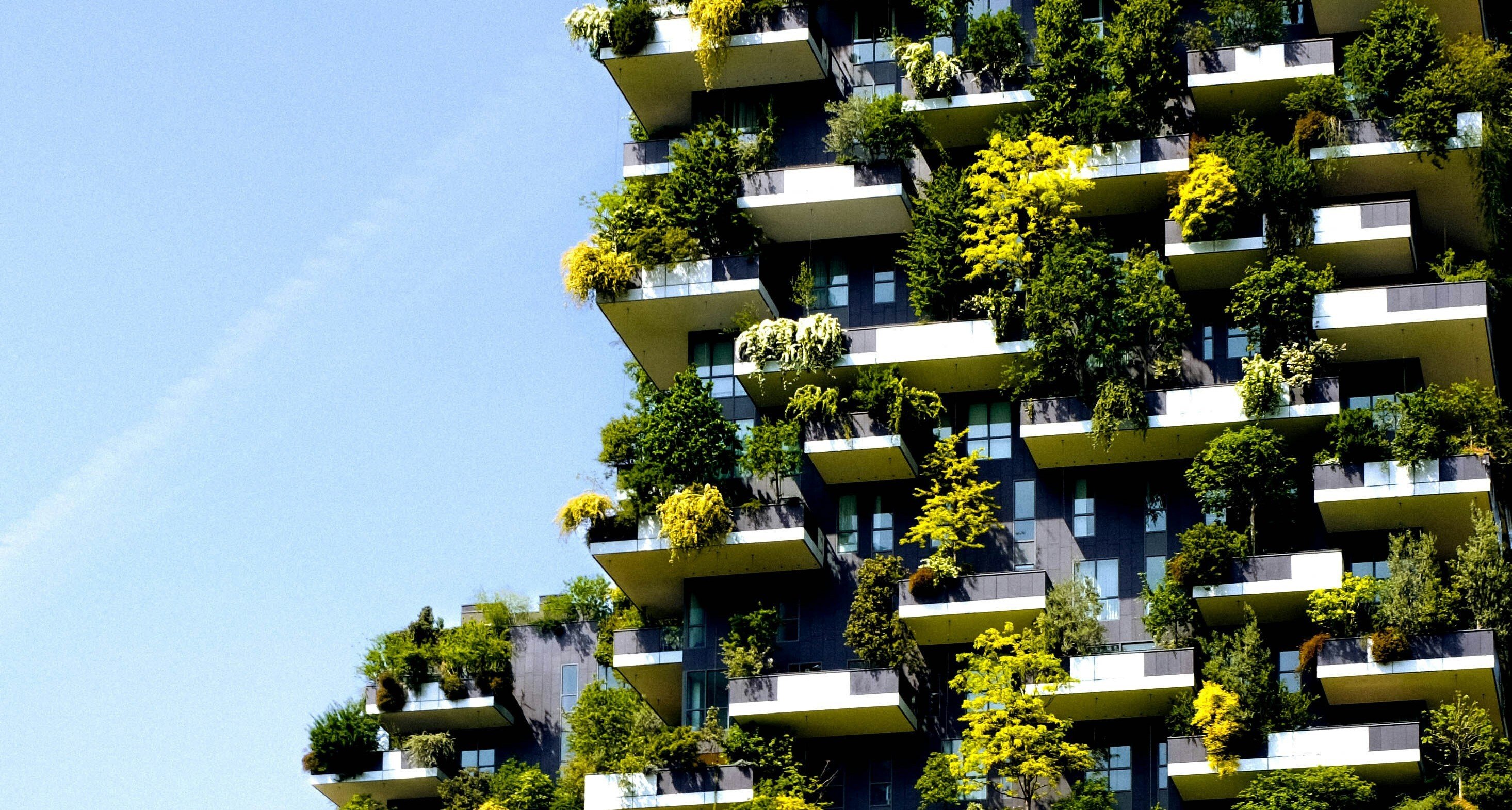 Reframing Sustainability report